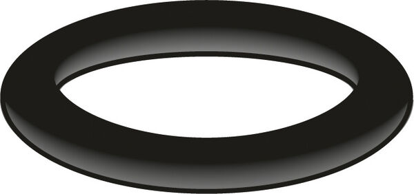 O-Ring R Neoperl image number 0