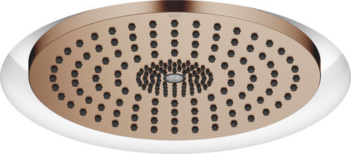 Regenbrause Dornbracht mit Licht Bronze gebürstet