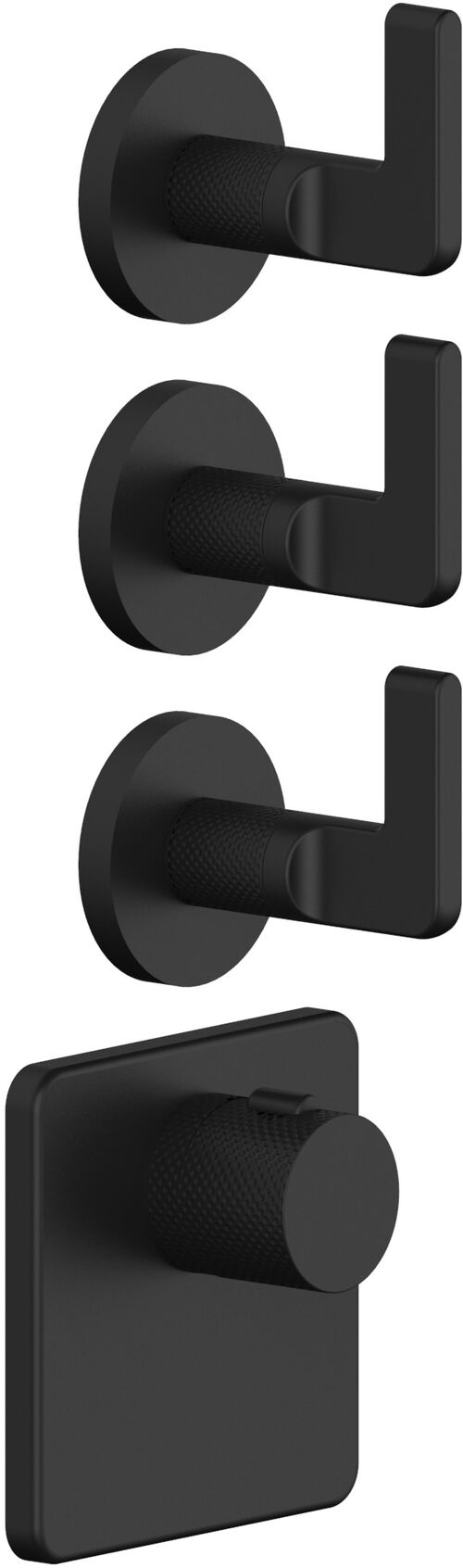 Miscelatore bagno / doccia-set di montaggio finale Gessi Inciso Nero opaco