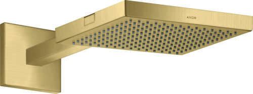 Regenbrause Axor ½" brushed brass