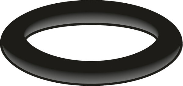 Guarnizione O-Ring Neoperl image number 0