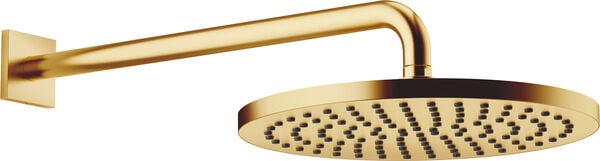 Pomme de douche avec effet Dornbracht Imo &frac12;" Laiton bross&eacute; image number 0