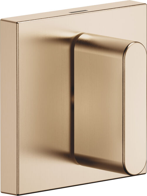 Set di montaggio finale per rubinetto d&rsquo;arresto Dornbracht CL.1 Champagne spazzolato