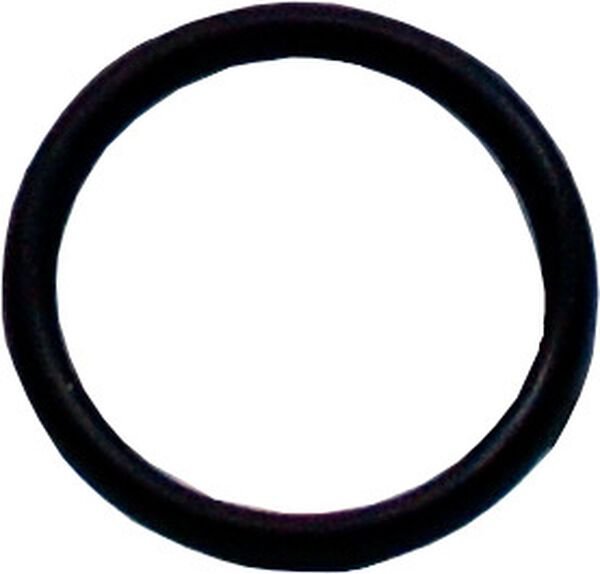 O-Ring zu Schwenkauslauf Laufen-Twin image number 0