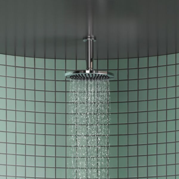 Regenbrause Dornbracht &frac12;" Champagne geb&uuml;rstet image number 1