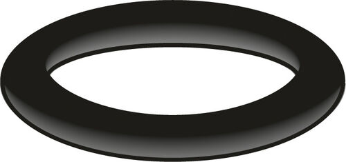 O-Ring AN Neoperl