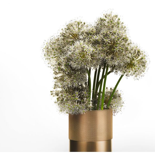 Vaso Gessi Home Decor Black metal brushed Trame image number 2